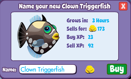clown-triggerfish